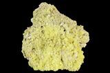 Sulfur Crystal Cluster on Matrix - Nevada #129745-1